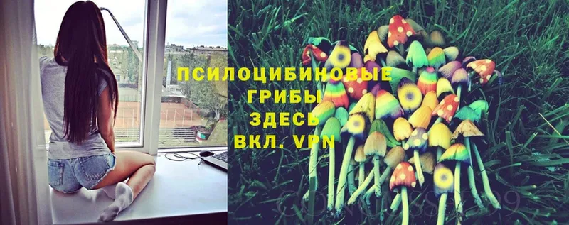 Галлюциногенные грибы Psilocybine cubensis  даркнет сайт  Армянск 